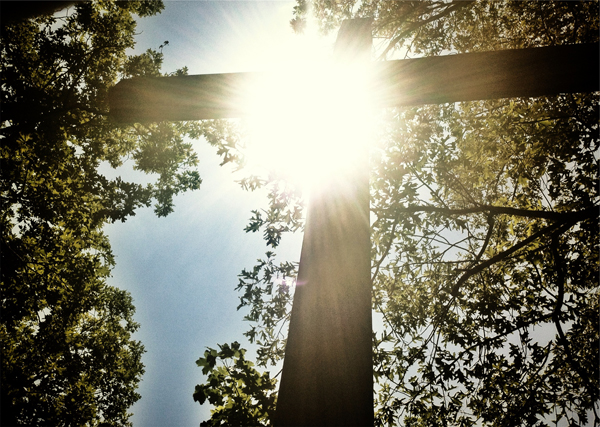 cross in forest