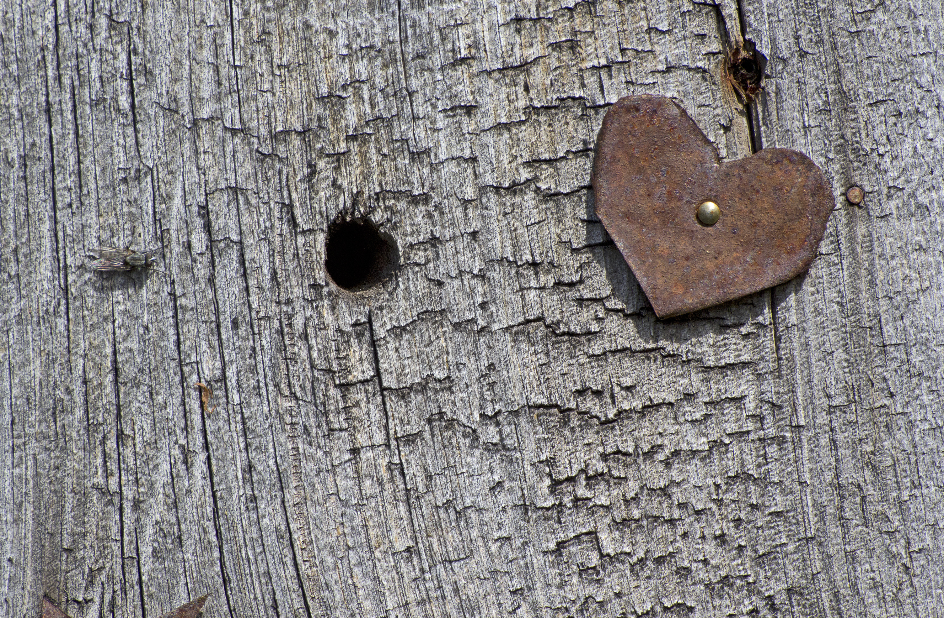 Metal heart on wood