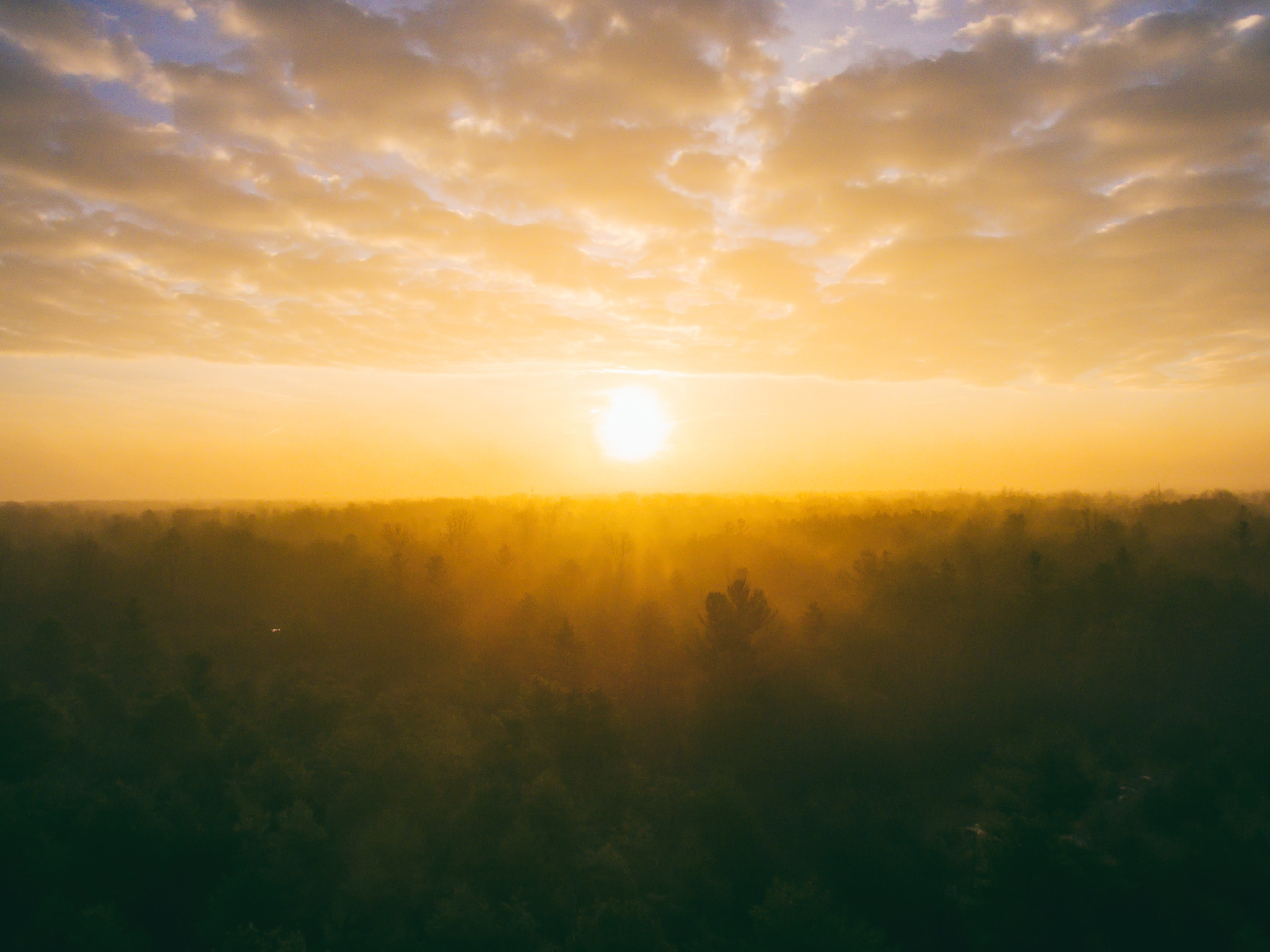 sunlight over field