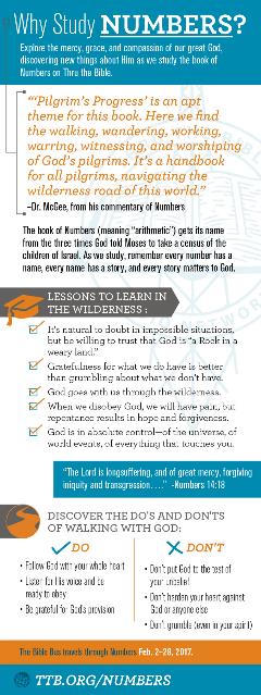 Numbers Study Guide