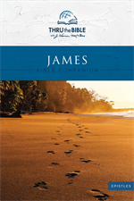 James Bible Companion cover